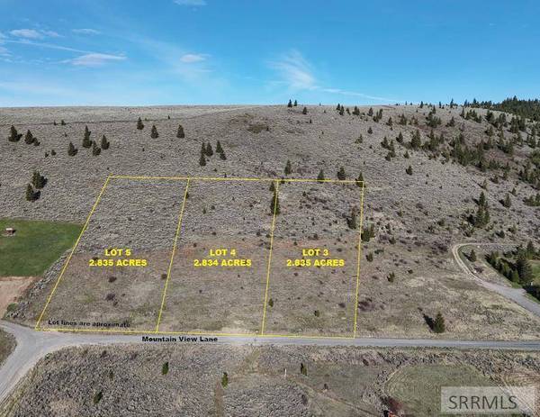 TBD Lot 3 Mountain View Lane, Spencer, ID 83446
