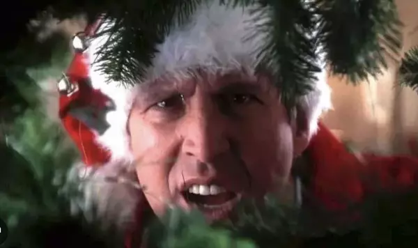 Best Places to Buy a Real Christmas Tree Near New Lenox, Manhattan & Mokena