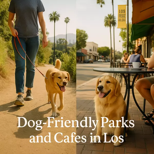Dog-Friendly Parks and Cafes in Los Feliz