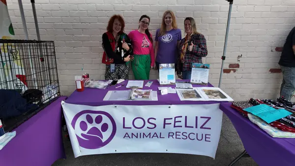 feature image of Paw-blicity: Supporting Los Feliz Animal Rescue