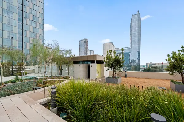 Best Downtown LA Buildings for High-Rise Living: A Buyer's Comparison