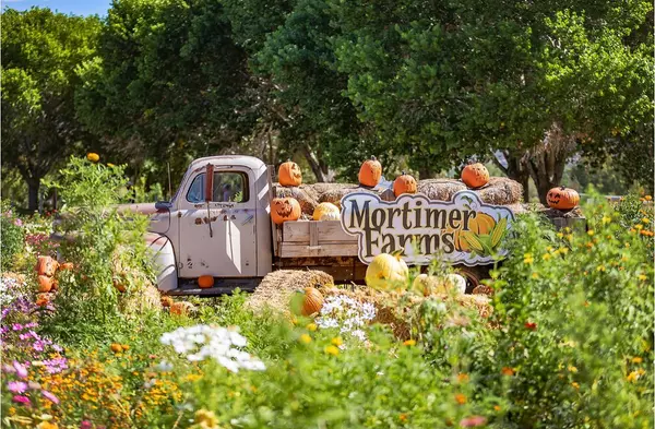 Fall Fun in Arizona: Pumpkin Patches, Festivals & Halloween Events 2025
