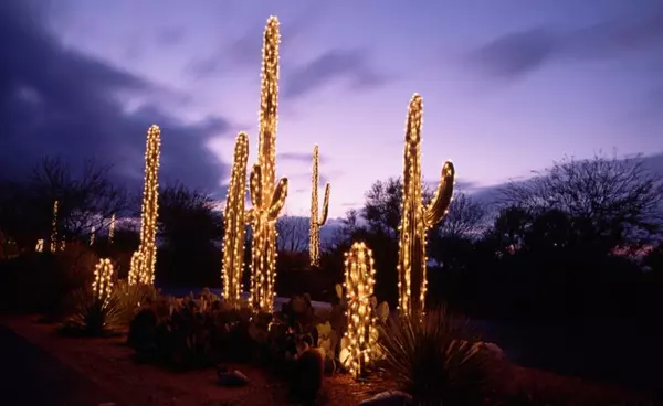feature image of The Best Christmas Light Neighborhoods in Arizona: Where Holiday Magic Comes Alive