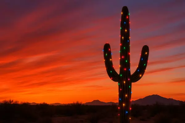 Top Things to Do in Arizona This Holiday Season (December 2025): Christmas Lights, Events & Festive Activities