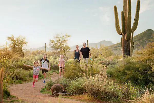 How to Choose the Right Arizona Community for Your Lifestyle in 2026,Jon Mark Estes