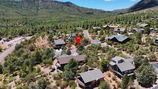 79 W Ruin Hill Loop #079, Pine, AZ 85544