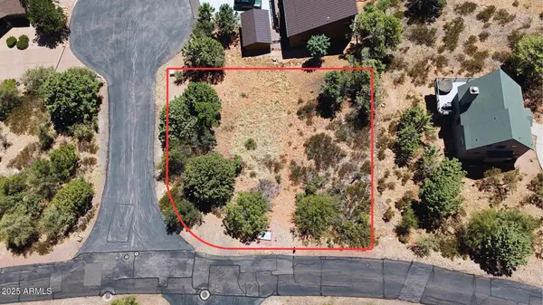 79 W Ruin Hill Loop #079, Pine, AZ 85544