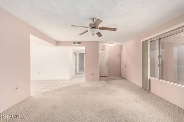 9213 W NEWPORT Drive, Sun City, AZ 85351