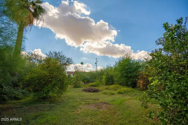 1717 E OAK Street, Phoenix, AZ 85006