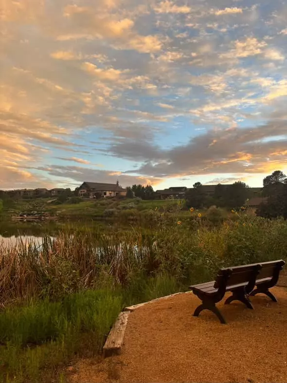 Pining Over Prescott