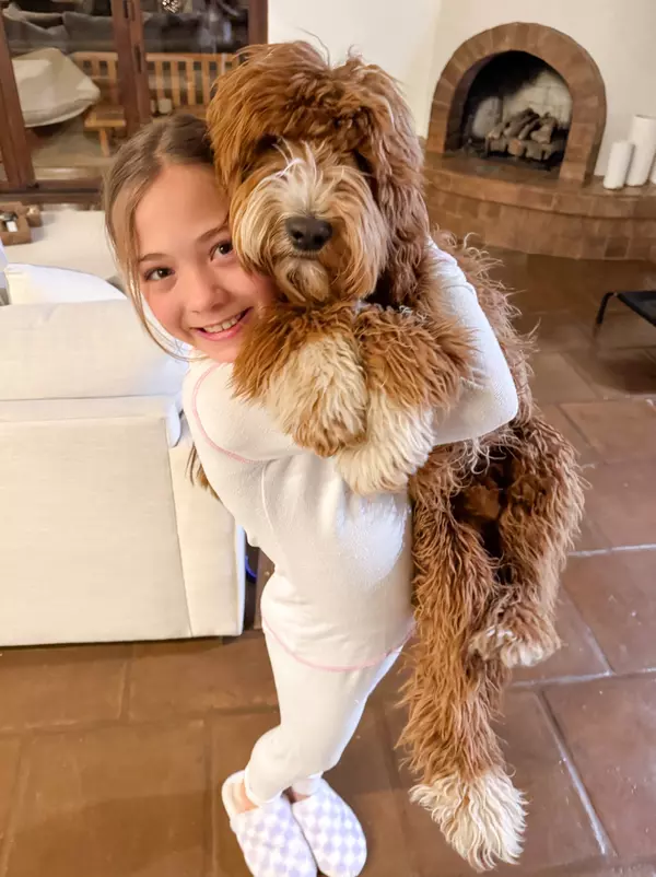 feature image of Celebrating National Dog Day: Finding the Perfect Home for You and Your Pup