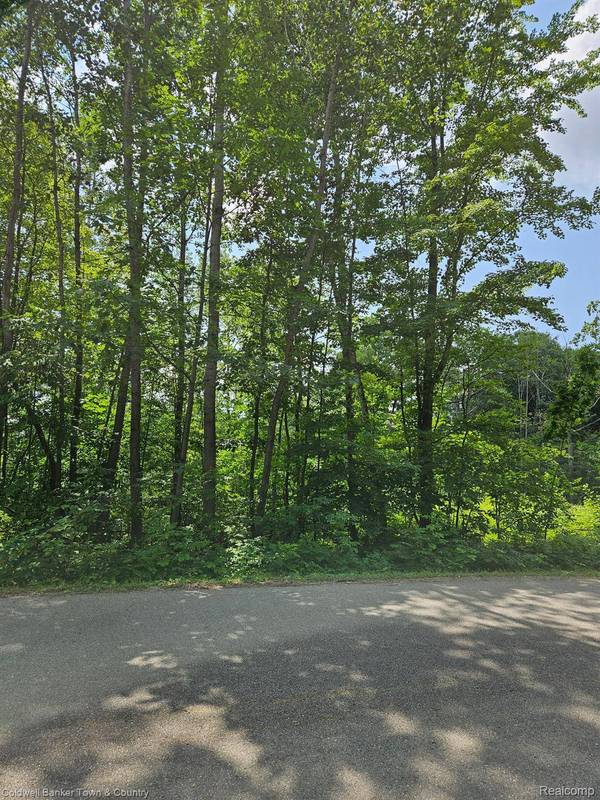 VL Lakeside, Plainfield Township, MI 47839