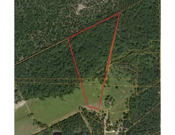 TBD Molk Road, Willis, TX 77378