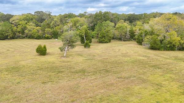 TBD Molk Road, Willis, TX 77378