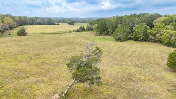 TBD Molk Road, Willis, TX 77378