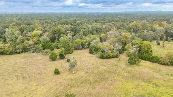 TBD Molk Road, Willis, TX 77378