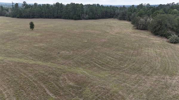 TBD Tract 3 Percy Howard Road, Huntsville, TX 77320