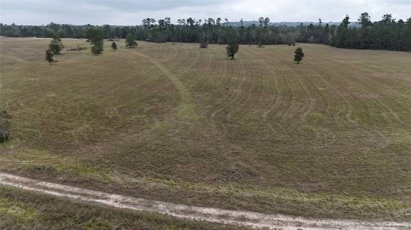 TBD Percy Howard Rd, Huntsville, TX 77320