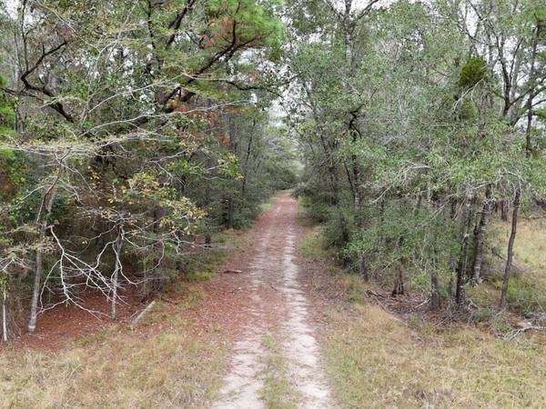 TBD Percy Howard Road, Huntsville, TX 77320
