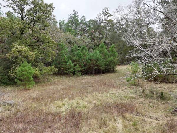 TBD Percy Howard Road, Huntsville, TX 77320