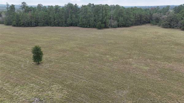 TBD Tract 3 Percy Howard Road, Huntsville, TX 77320