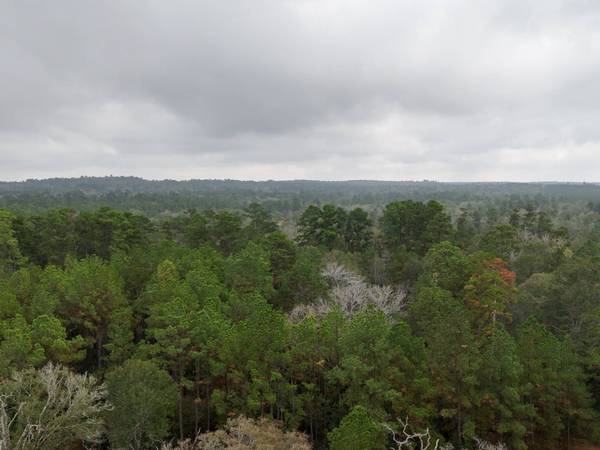 TBD Percy Howard Road, Huntsville, TX 77320