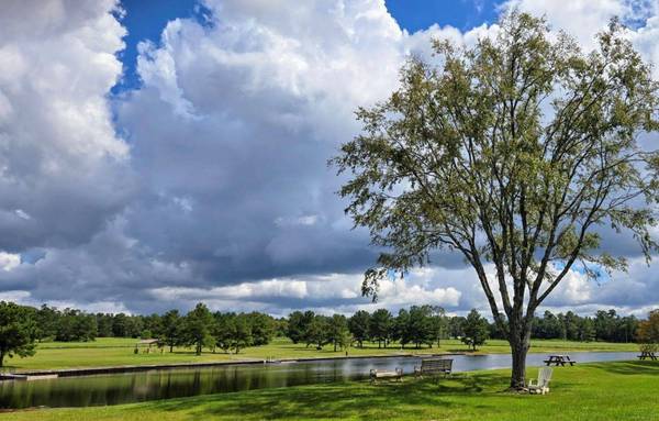 15890 Ridge Oak RD, Willis, TX 77378