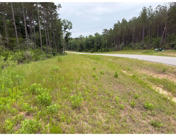 15890 Ridge Oak RD, Willis, TX 77378