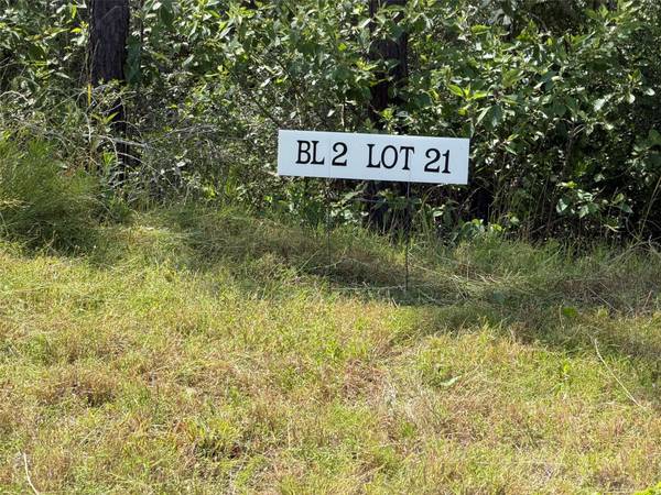 15890 Ridge Oak RD, Willis, TX 77378