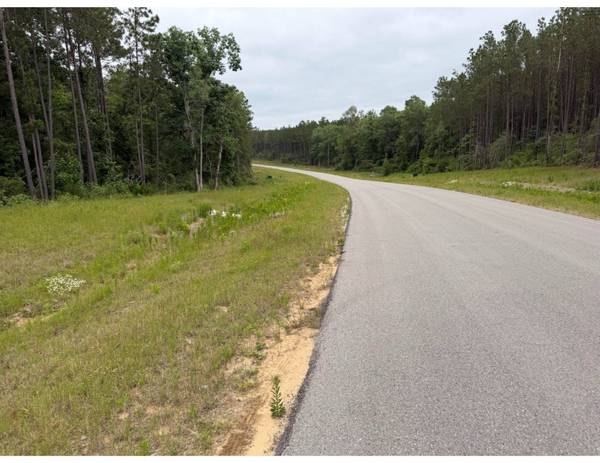 15890 Ridge Oak RD, Willis, TX 77378