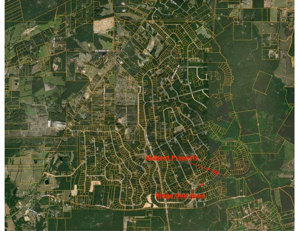 15890 Ridge Oak RD, Willis, TX 77378