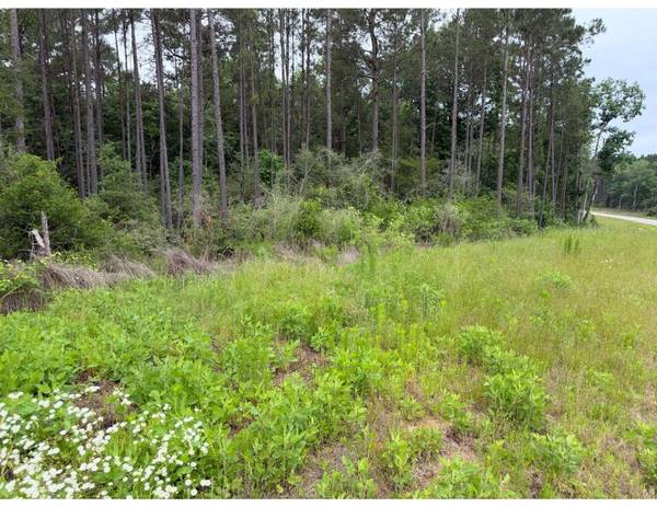 15890 Ridge Oak RD, Willis, TX 77378