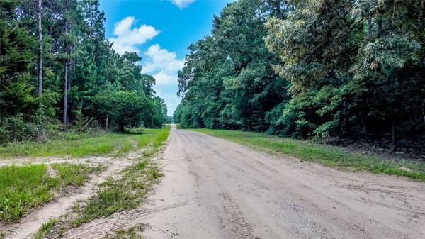 127 Buckthorn Acres DR, Huntsville, TX 77340