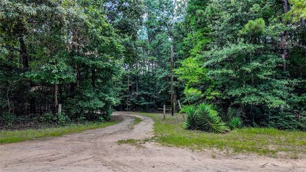 127 Buckthorn Acres DR, Huntsville, TX 77340