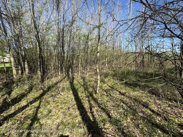 Lot C Stoney Lane, Eaton Rapids, MI 48827, Eaton Rapids, MI 48827