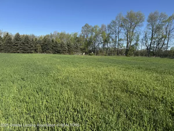 Lot A Stoney Lane, Eaton Rapids, MI 48827, Eaton Rapids, MI 48827