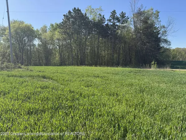 Lot A Stoney Lane, Eaton Rapids, MI 48827, Eaton Rapids, MI 48827