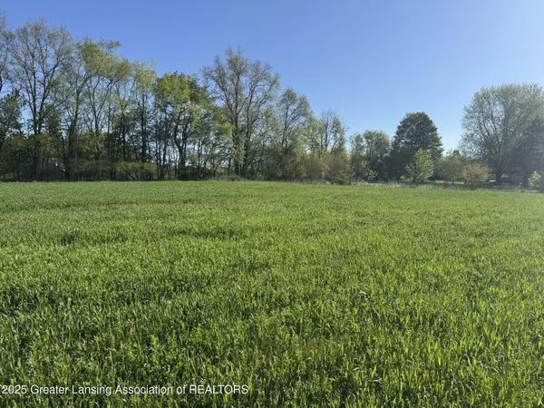 Lot A Stoney Lane, Eaton Rapids, MI 48827, Eaton Rapids, MI 48827