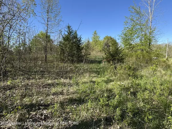 Lot C Stoney Lane, Eaton Rapids, MI 48827, Eaton Rapids, MI 48827