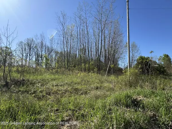 Lot C Stoney Lane, Eaton Rapids, MI 48827, Eaton Rapids, MI 48827