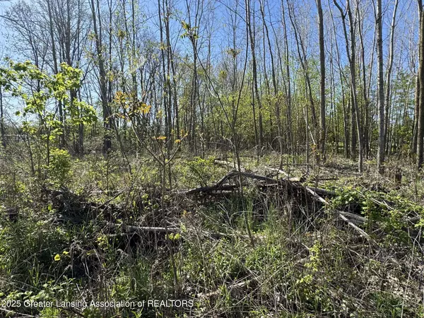 Lot C Stoney Lane, Eaton Rapids, MI 48827, Eaton Rapids, MI 48827