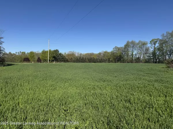 Lot A Stoney Lane, Eaton Rapids, MI 48827, Eaton Rapids, MI 48827
