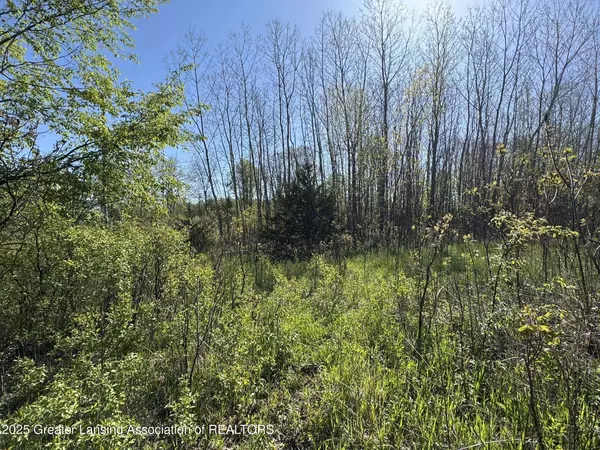 Lot C Stoney Lane, Eaton Rapids, MI 48827, Eaton Rapids, MI 48827