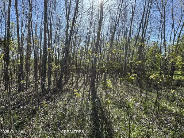Lot C Stoney Lane, Eaton Rapids, MI 48827, Eaton Rapids, MI 48827