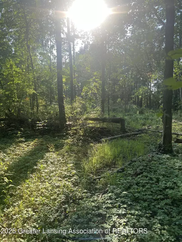 11000 Macon HWY, Clinton, MI 49236