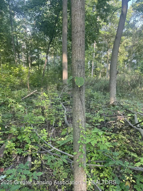 11000 Macon HWY, Clinton, MI 49236