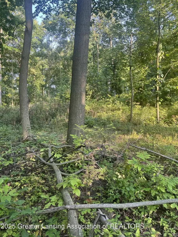 11000 Macon HWY, Clinton, MI 49236