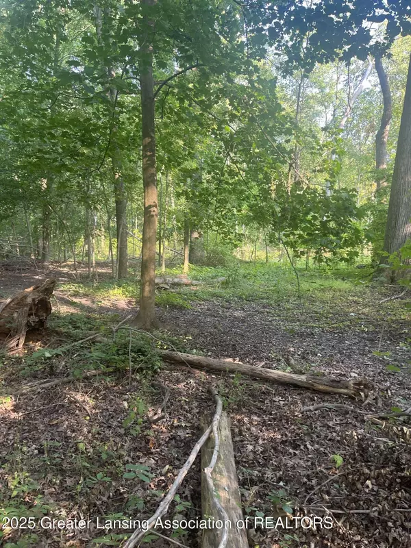 11000 Macon HWY, Clinton, MI 49236