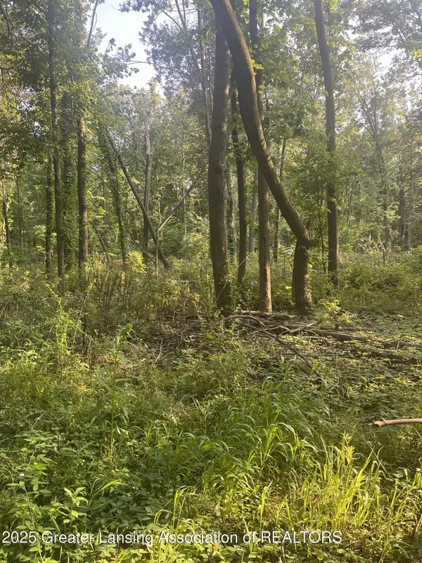 11000 Macon HWY, Clinton, MI 49236