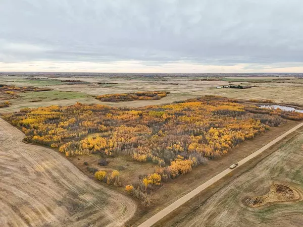 NW 4-43-4-W4, Rural Camrose County, AB T0B 1H0